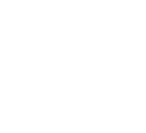 logo du Imagerie capricorne